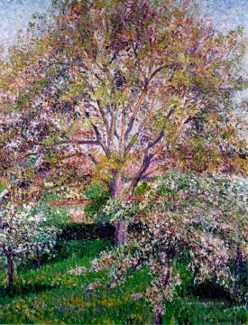  szene - wallnut und Apfelbäume in voller Blüte bei eragny Camille Pissarro Szenerie
